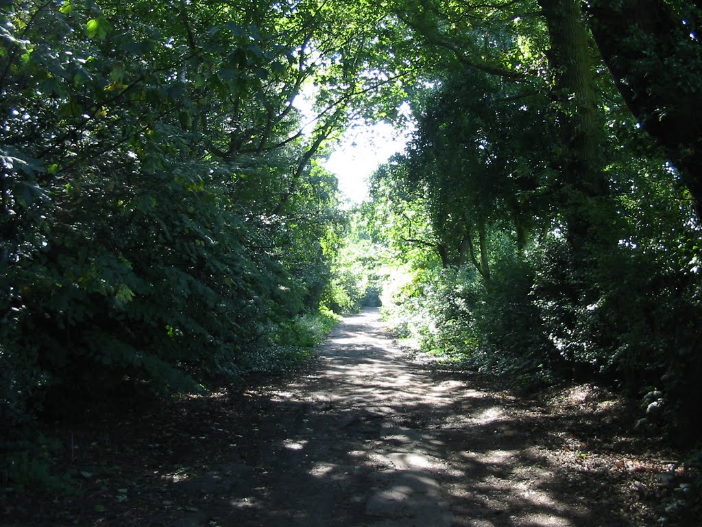 Green Lane heading West by Shimmerxxx