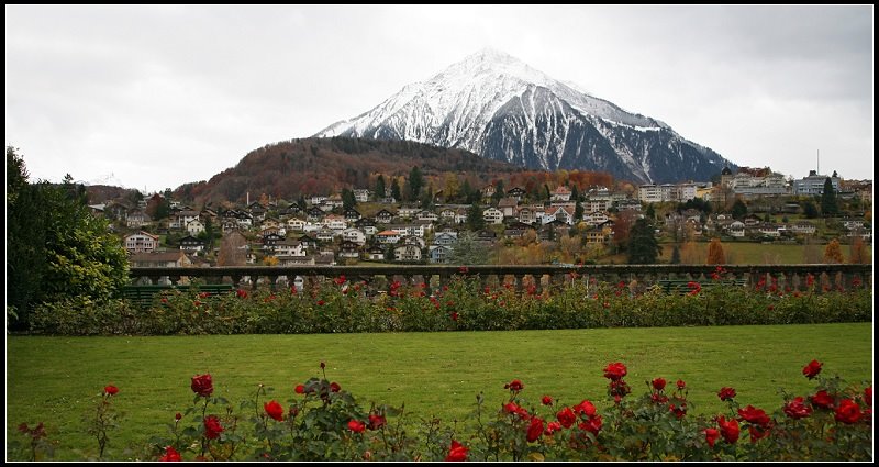 Spiez, Switzerland by 尼尔伯