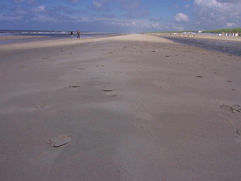 Het duinen De Koog Texel Island by David C Ferguson