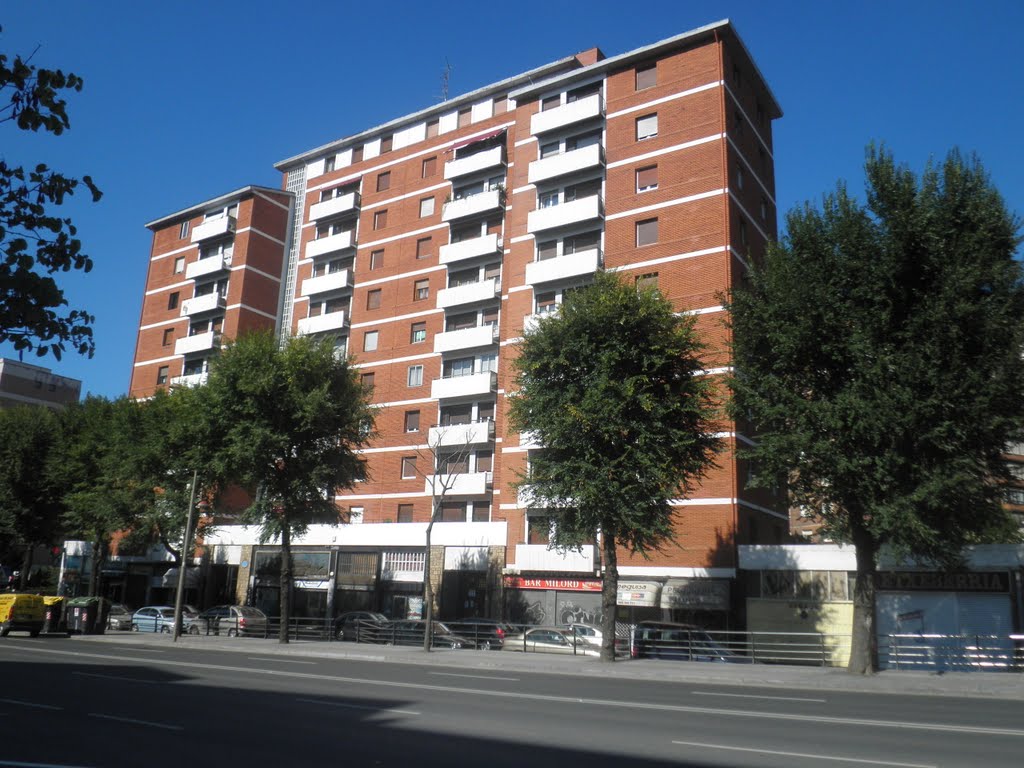 Bloque de viviendas en la Avenida del General carlista Tomás Zumalacárregui by xabier3007