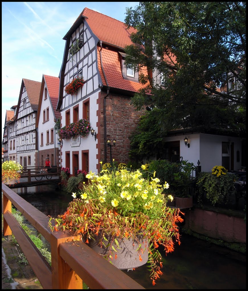 Annweiler am Trifels und an der Queich by Ali-babaa1001