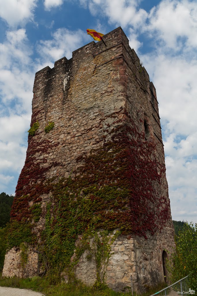 Schloss Hornberg, Hornberg - Black Forest by © BraCom (Bram)