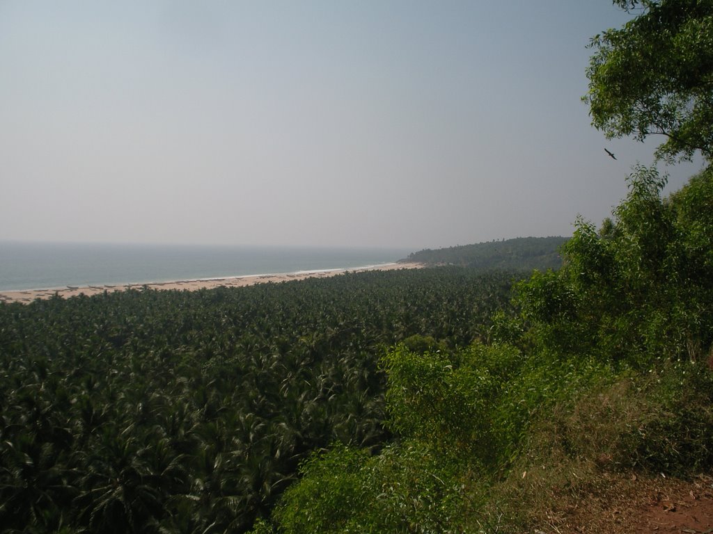 Somatheeram beach form the hills behind by garethb