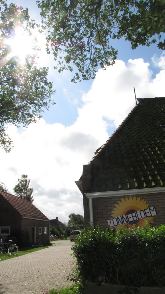 "Zonnebloem", Buren, Ameland by Heiligkreuz