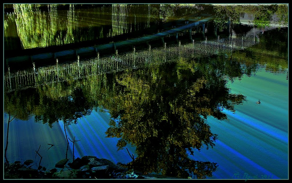 Reflection P9110017 by petrovichk