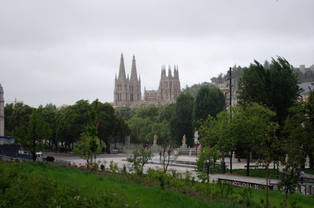 Desde el río by joananton