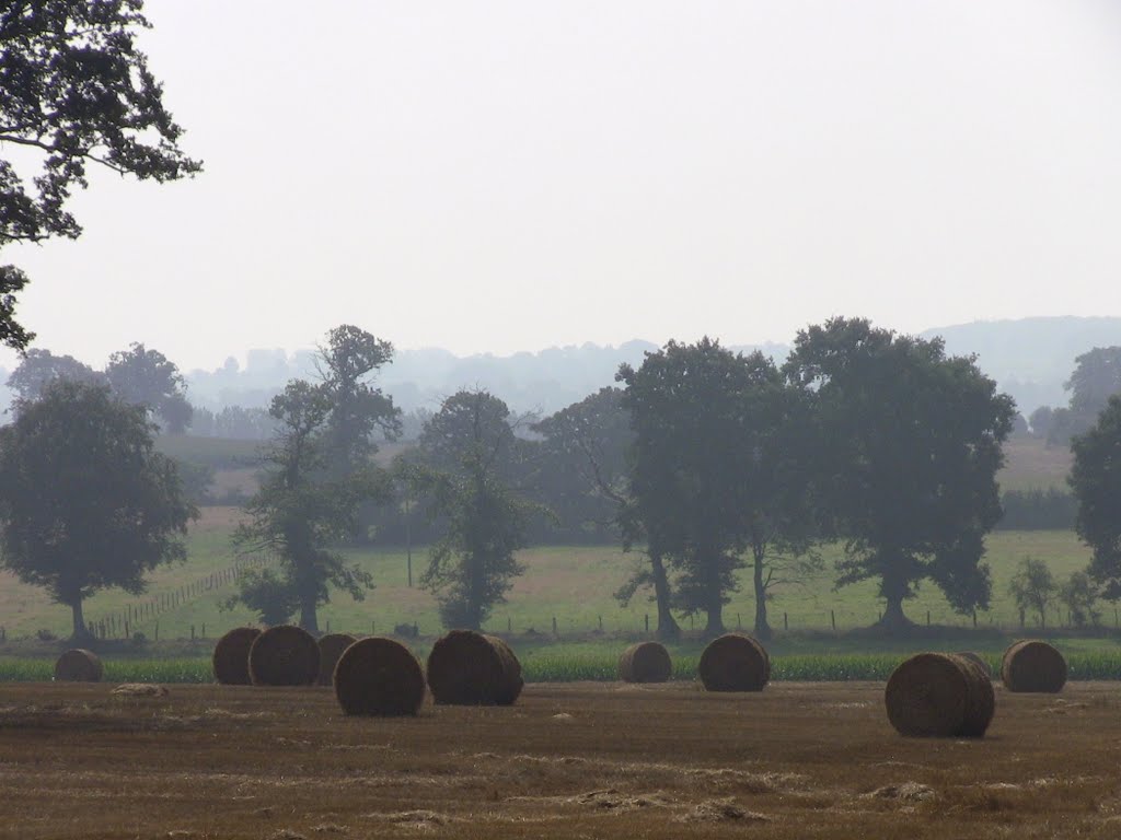 Beau Paysage Normand by Micha288