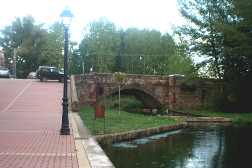 Puente en Arlanzón by pampali