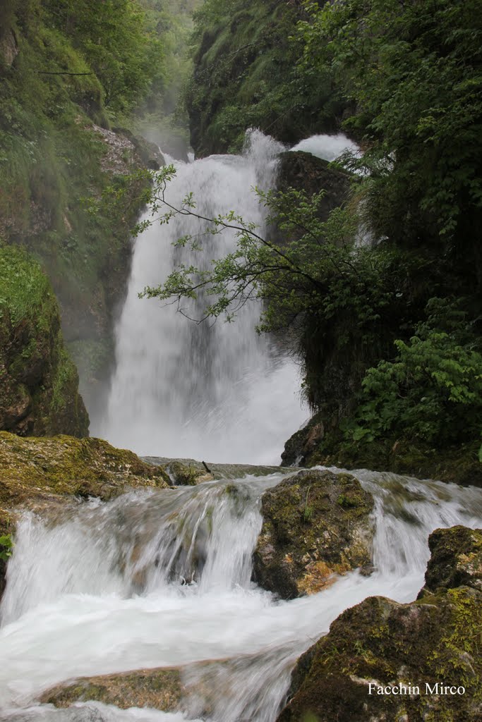 Cascata della Civetta ..Lastebasse by Facchin Mirco