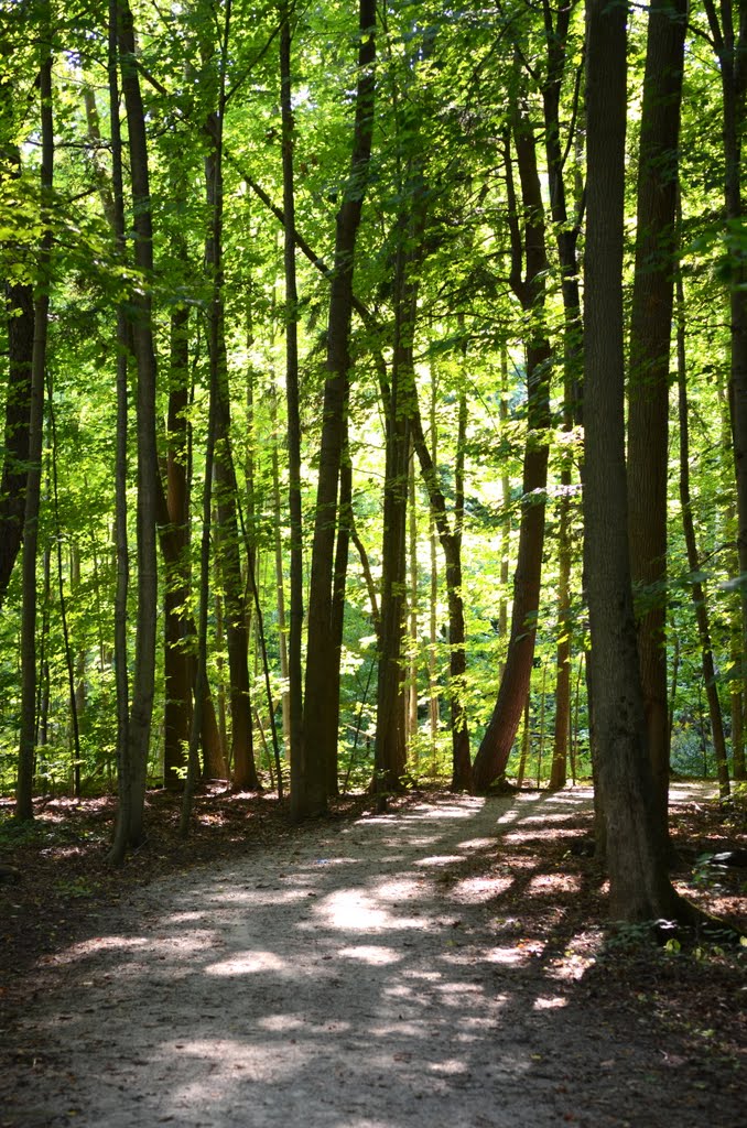 Lions Valley Park, Oakville by ManOnEdge