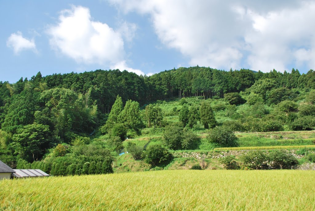 Nachikatsuura　那智勝浦町 by KBB