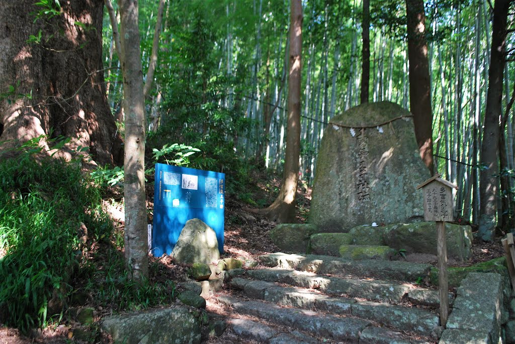 Kumano-Kodo DaimonzakaSlope Tabuke-Oji　熊野古道 大門坂 多富気王子 by KBB