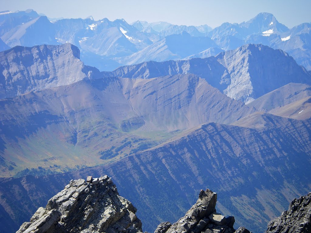 Mount Tyrwhitt (left), Mount Pocaterra (right, below Mount Sir Douglas) with the north half of Grizzly Ridge and part of Highwood Ridge, from the summit of Mist Mountain by Manfred Delong