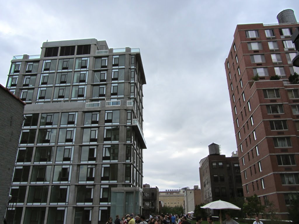 Greetings from the High Line by Adam Elmquist