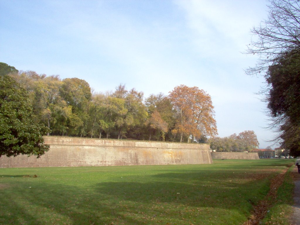 Lucca. Le Mura (1513)e gli alberi in autunno . The old walls (1513) and the trees,in Fall. by brezza