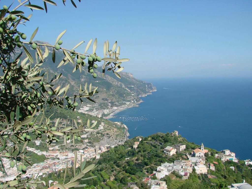 View down to Minori and Maiori, from Ravello by F.Lawrence