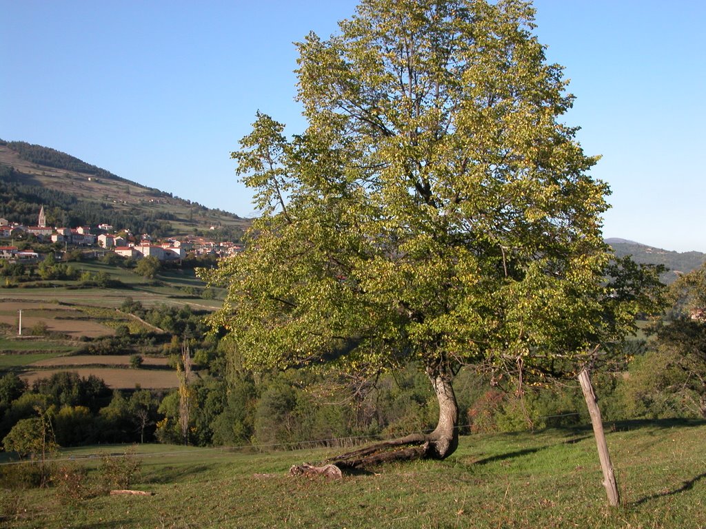 Les Combeaux - Le Tilleul - Vanosc by R. MAURIN