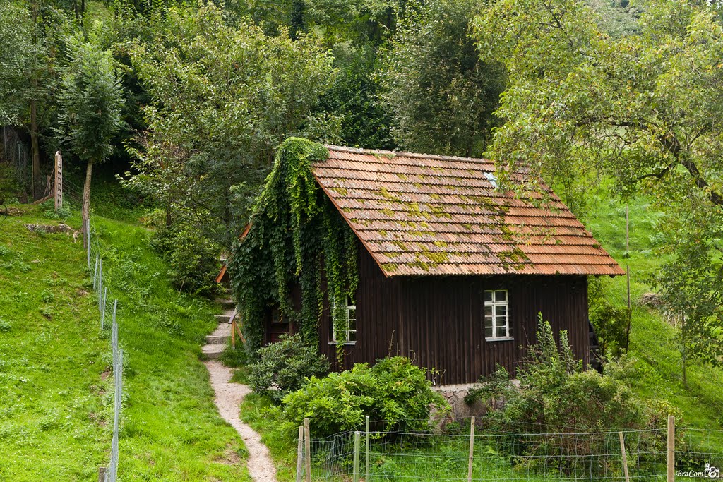 Benzmühle, Ottenhöfen im Schwarzwald - Black Forest by © BraCom (Bram)