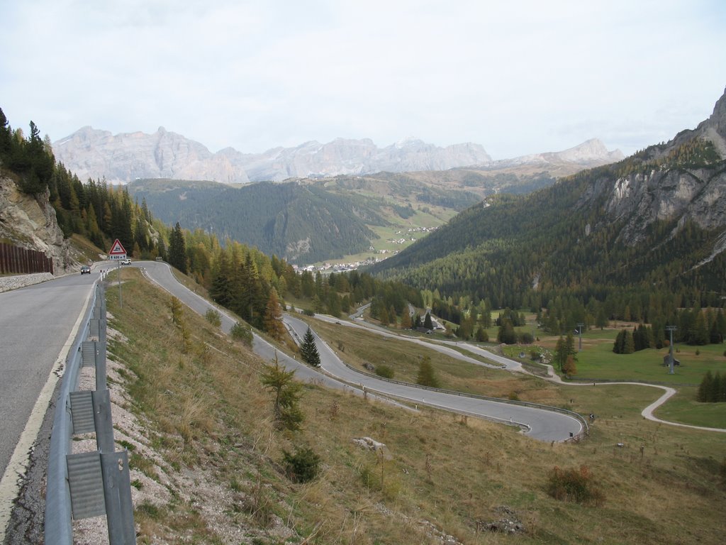 Dolomitenserpentinen,  strada passo gardena by Armin Engst