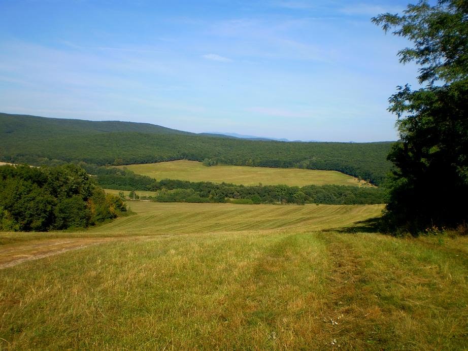 NAD ZLATNOM by bexapel