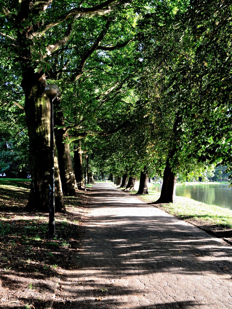 Gorzów - Park Wiosny Ludów - alejka nad stawem by wawik