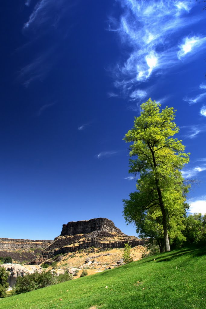 Shoshone Falls by maranzamax