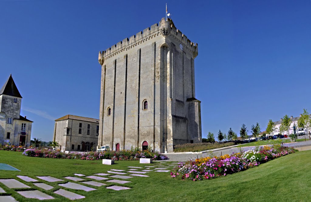 Donjon de Pons, Charente Maritime by jl capdeville