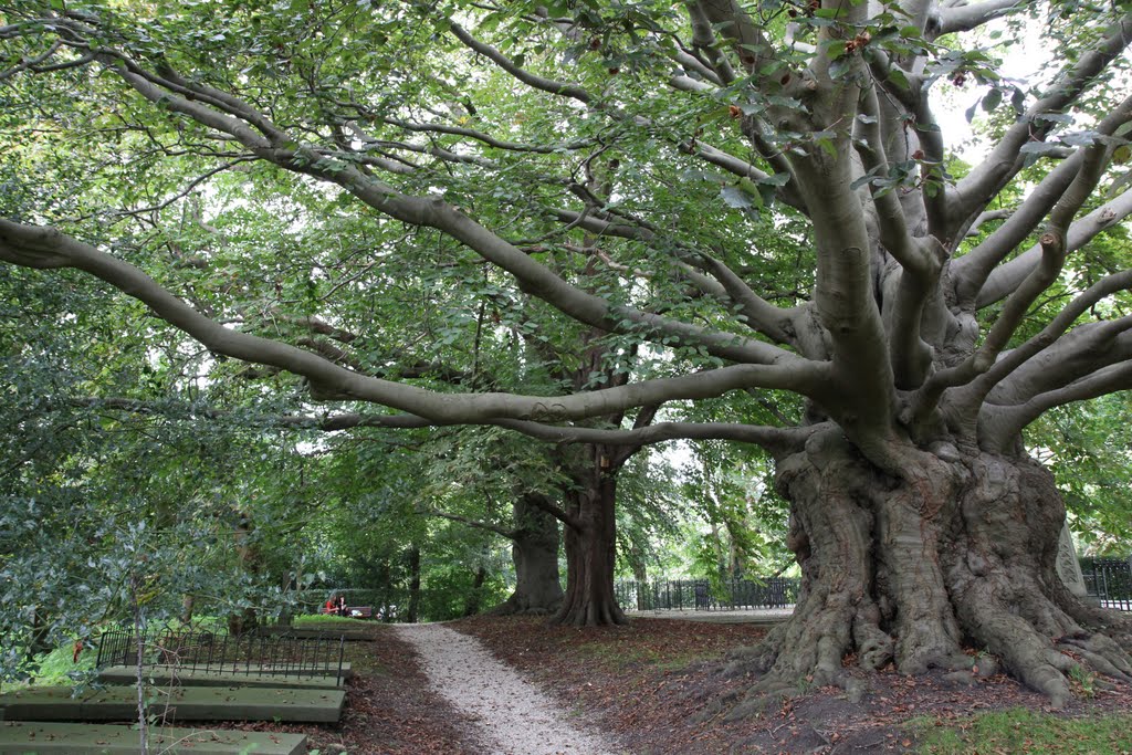 Begraafplaats Groenesteeg, Leiden by Carel van der Lippe