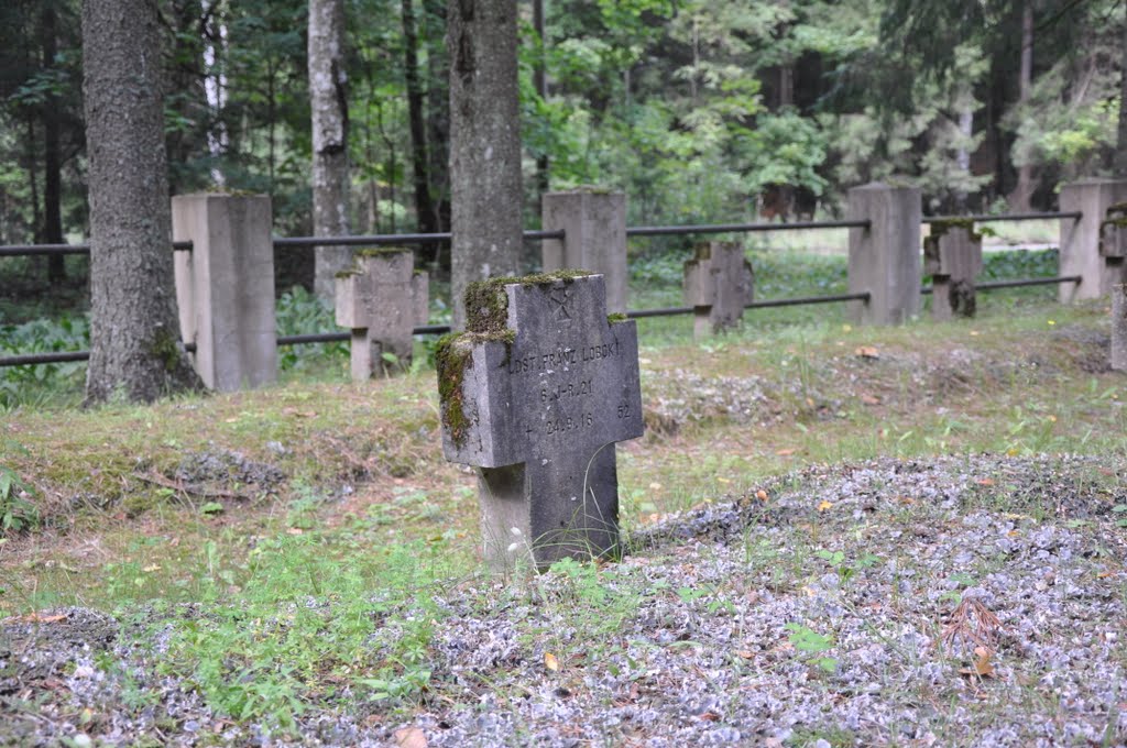 Vācu karavīru kapi pie Kanneniekiem (WWI) (Franz Loboki 24.9.16.), Baldones pagasts, Baldones novads, Latvia by M.Strīķis