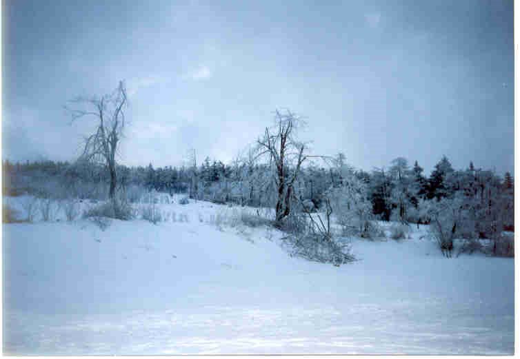 Winter in Altenberg by E. Tölch