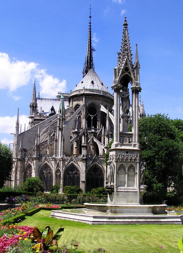 Notre Dame Cathedral Rear View by Madidi