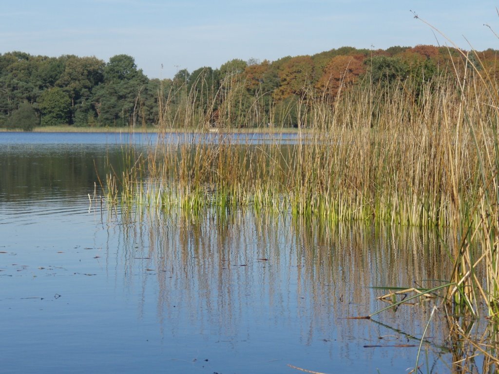 Er staat weer water... by Pieter Dekker