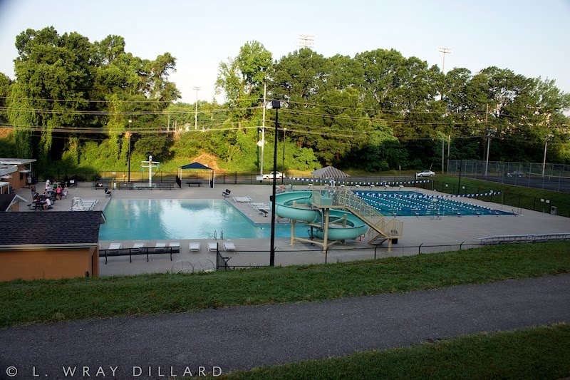 Royal Avenue Pools by L. Wray Dillard