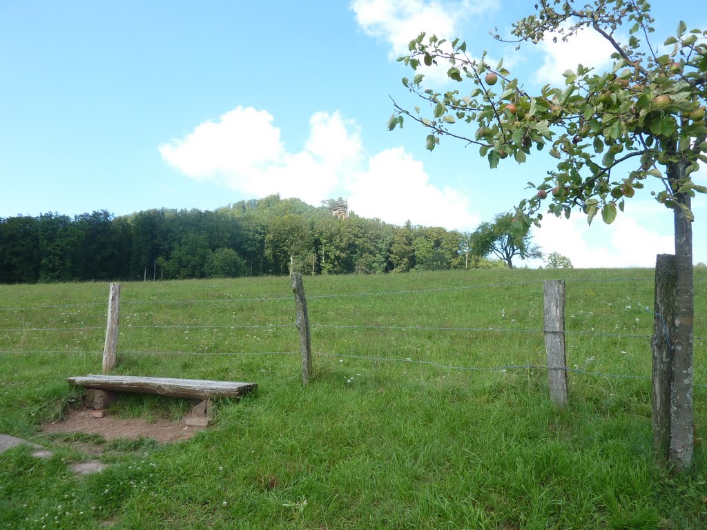 Prés près de Gimbelhof / Wiesen beim Gimbelhof by Panzerknacker