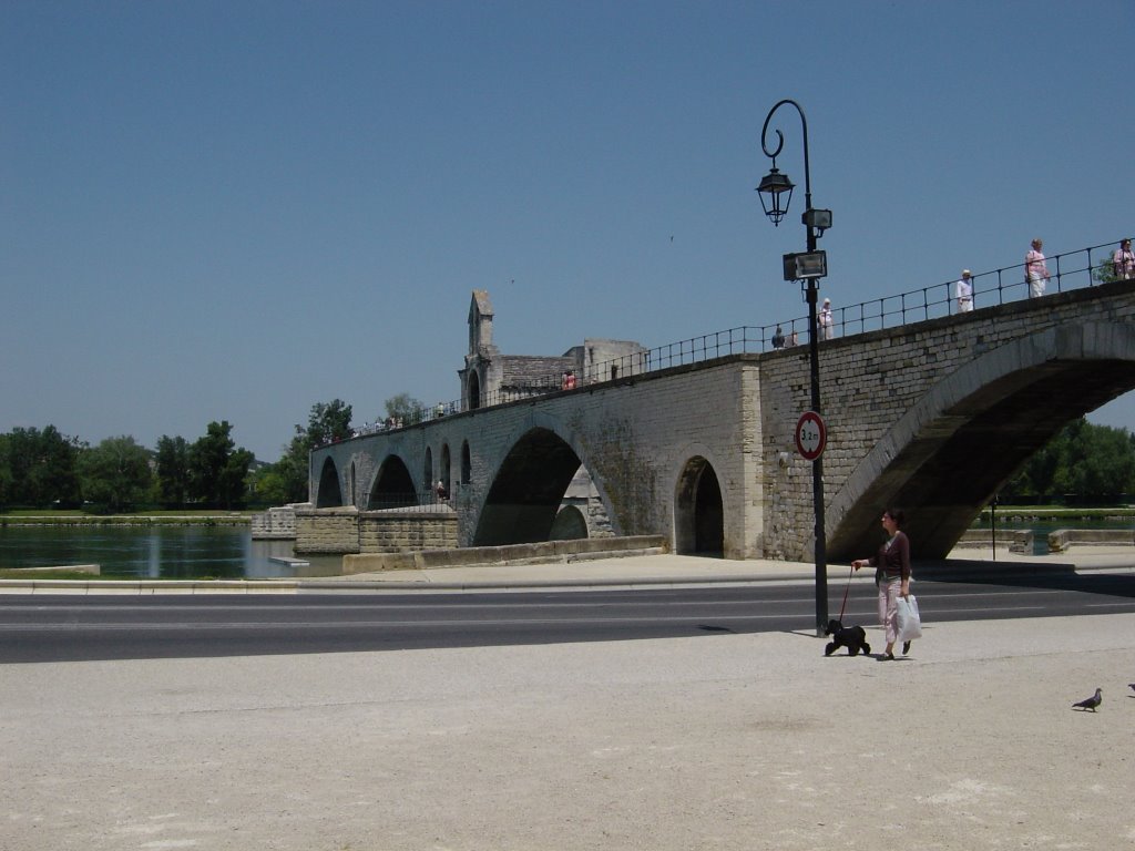 Pont d'Avignon by Johannes2