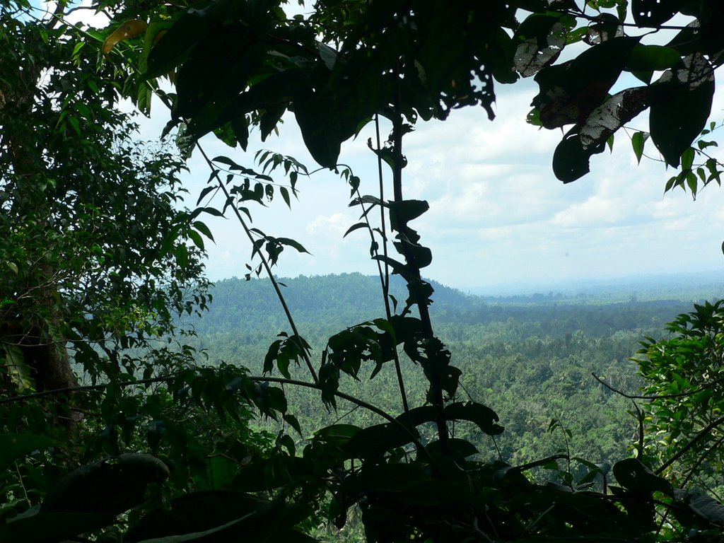 View from Gunung Talaga (2007.IX) by DmitryTelnov