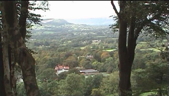 View from spring wood by Barbara Harrison