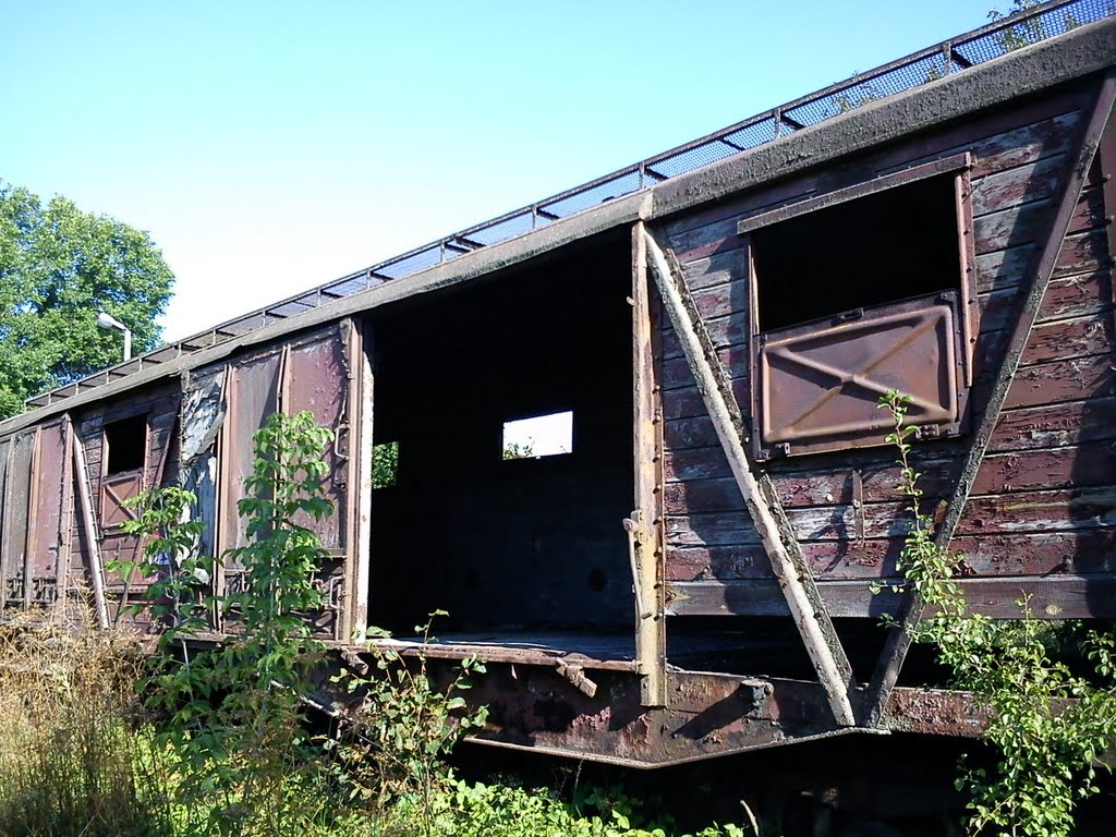 Wycofany z eksploatacji i pozostawiony losowi wagon towarowy przy ul.Okszowskiej w Chełmie by szek51