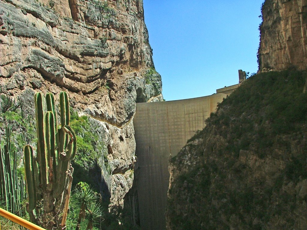 Cortina Presa Zimapan by Juan de Dios Ruiz