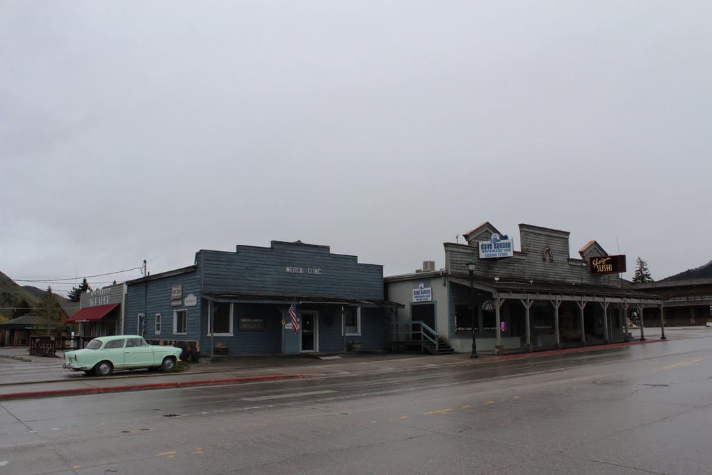 Jackson Hole, Medical Clinic by by niro