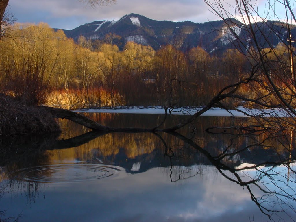 Spiegelung im Wasser by George Ganster