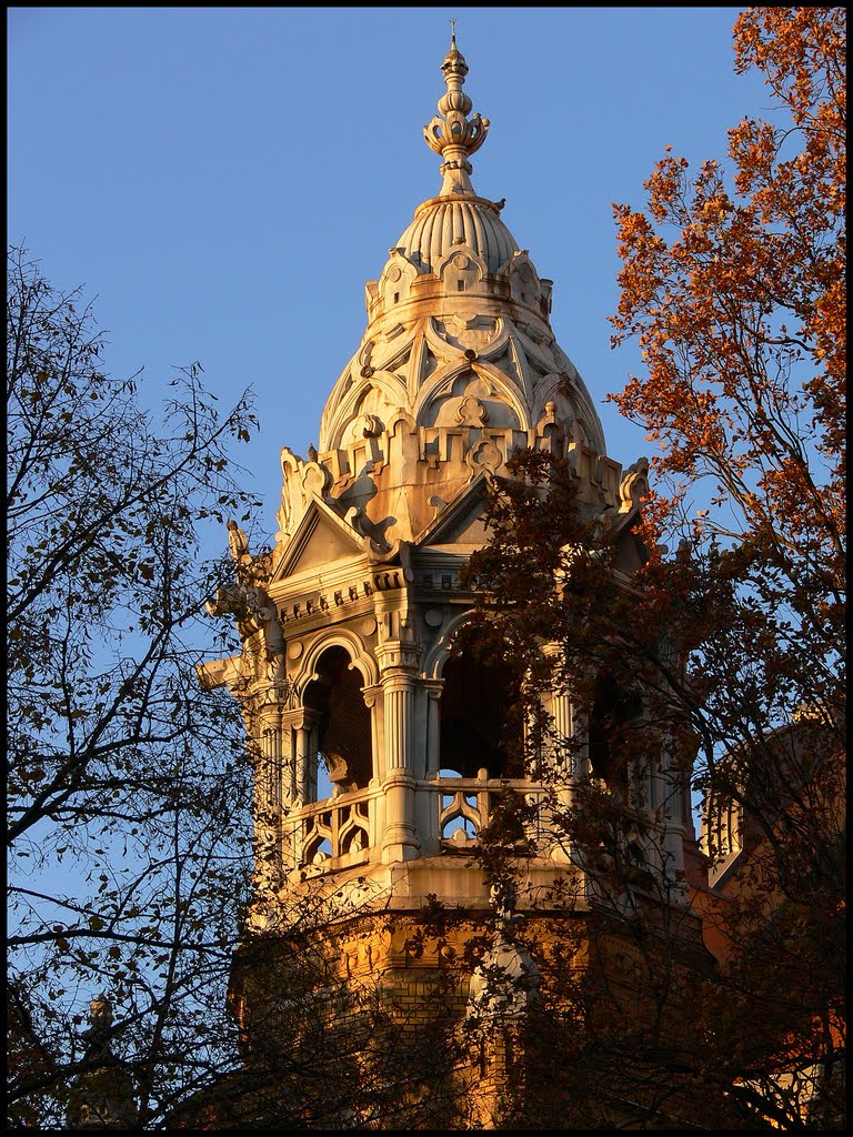 Szeged - Zsinagóga egyik tornya by Vecsi