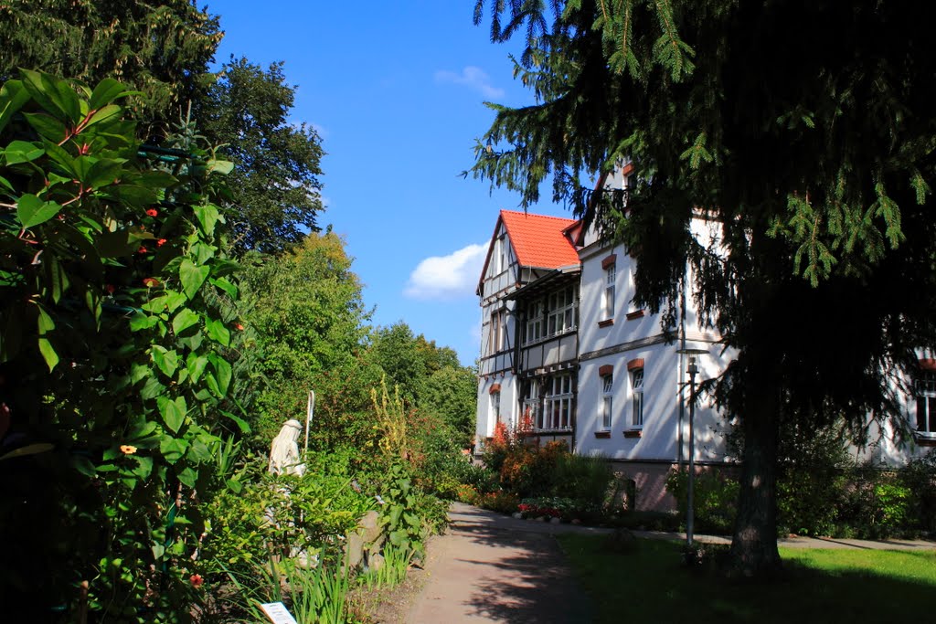 Friedensau, Villa am Bibelgarten by Zwergo