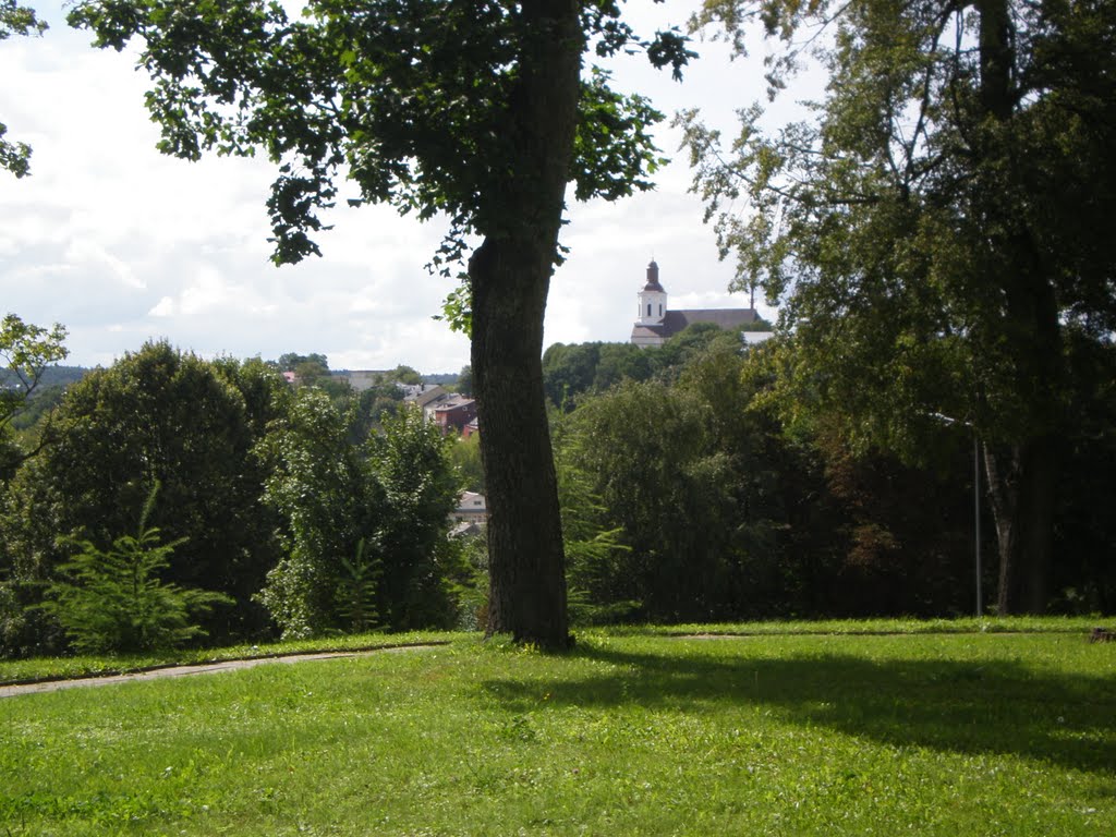 Tolumoje - Šv. Antano Paduviečio katedra. Vaizdas nuo Vilniaus kalvos by Gintarele