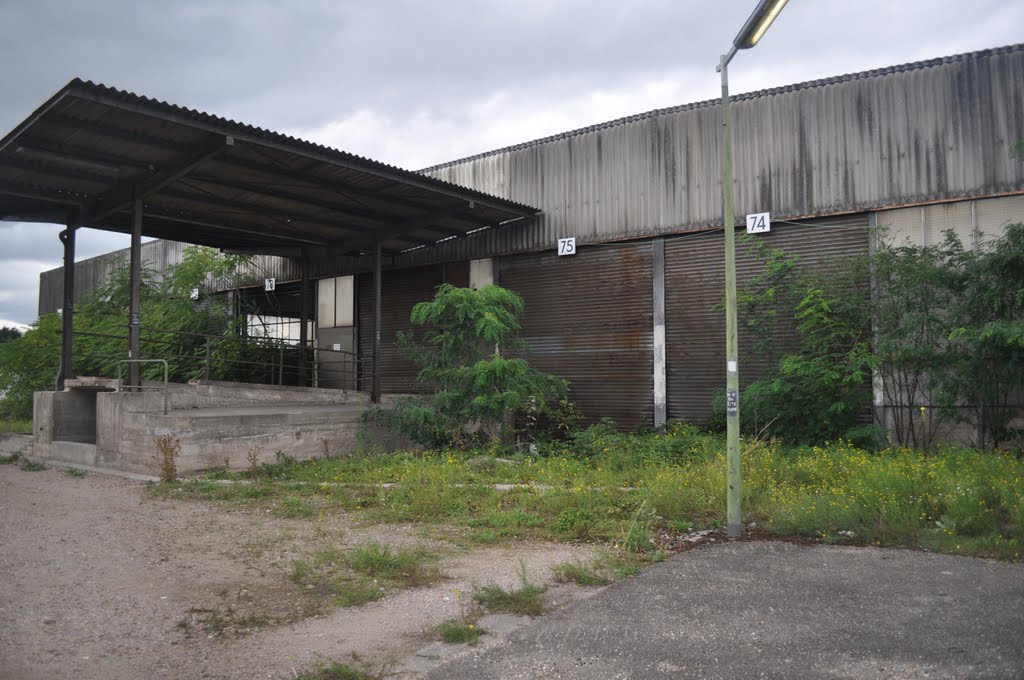 Ehemaliges Bahnbetriebswerk auf dem Mannheimer Rangierbahnhof von Siegfried Kremer by Siegfried Kremer Philippsburg