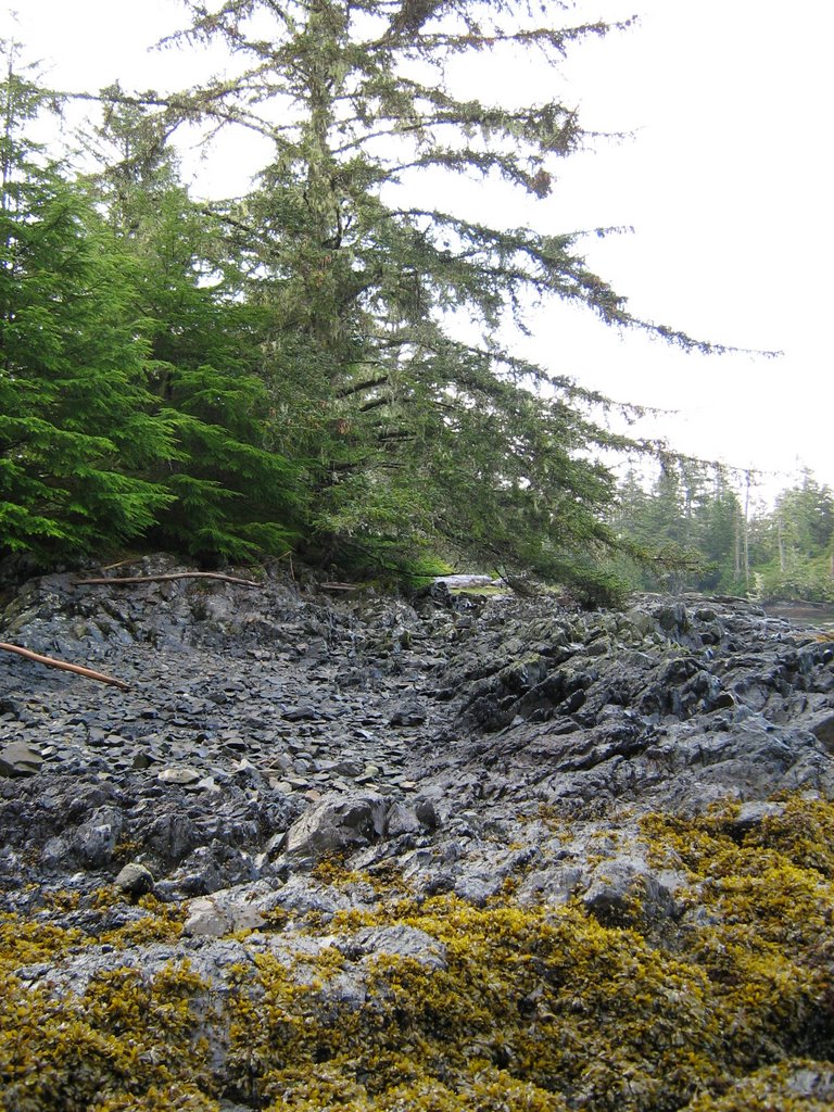 Mount Waddington B, BC, Canada by cyberhun