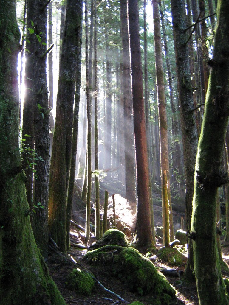 Mount Waddington, BC, Canada by cyberhun