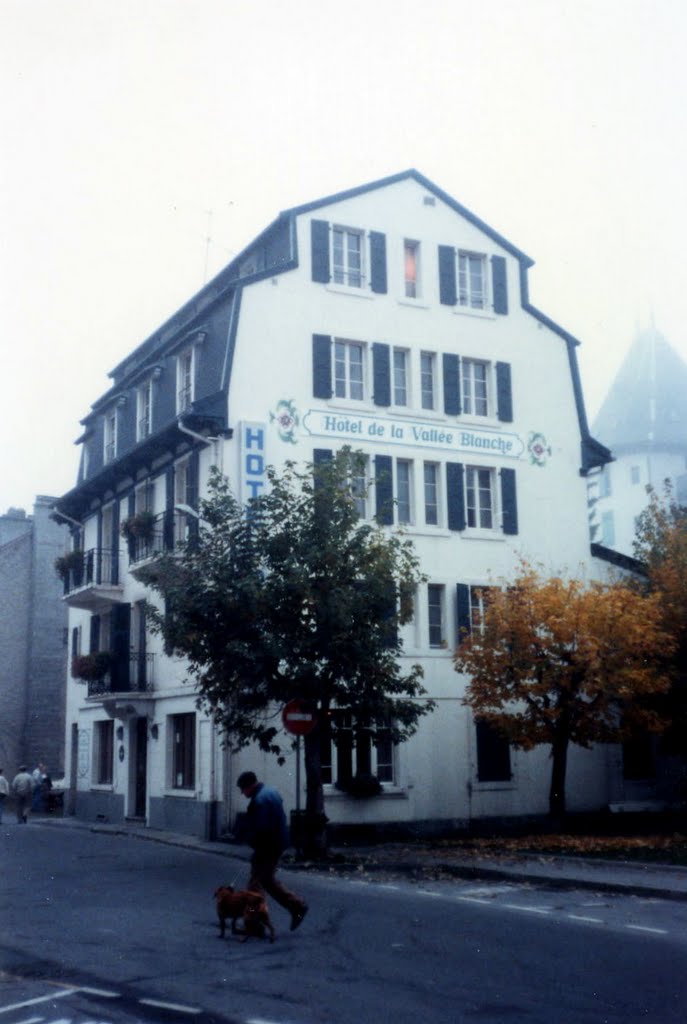 Hôtel La Vallée Blanche in Chamonix in 1984 - (this was originally an 18th Century Mill) by tillieannie