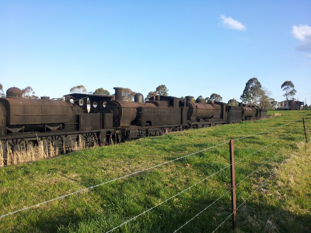 Derelict Steam Locomotive by Lobster1