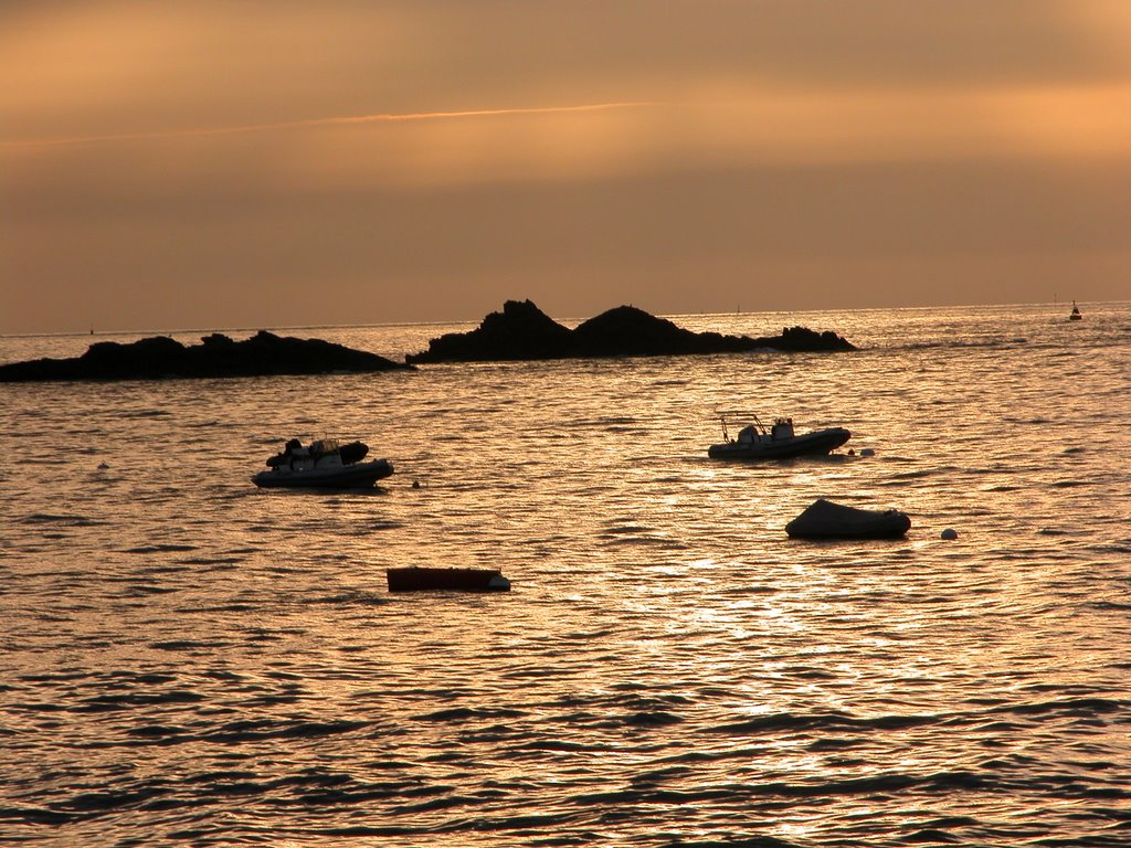 Promenade des douaniers - Dinard 1 by R. MAURIN